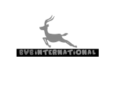bvb international